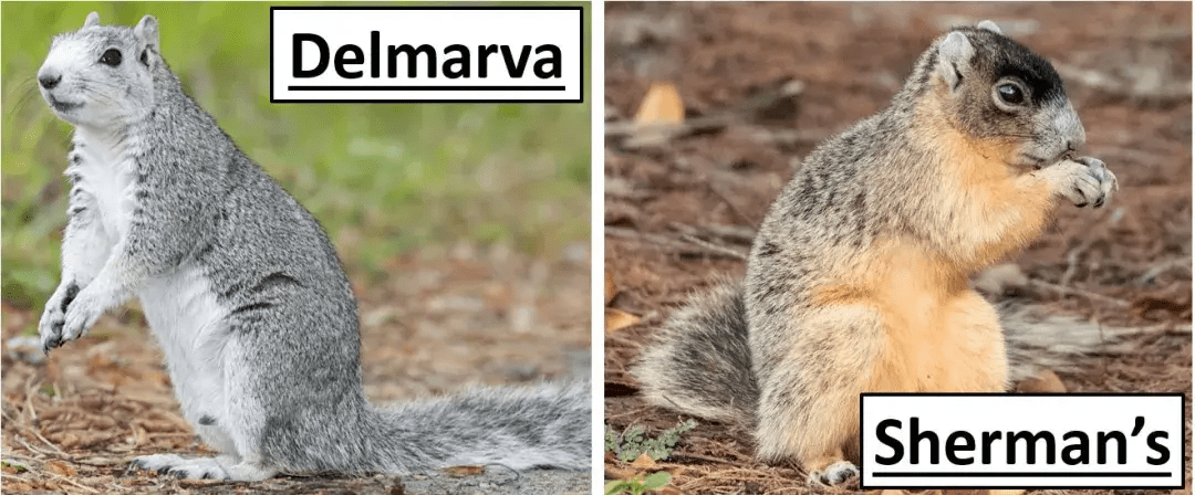 自动驾驶算力之争，背后的生死抉择