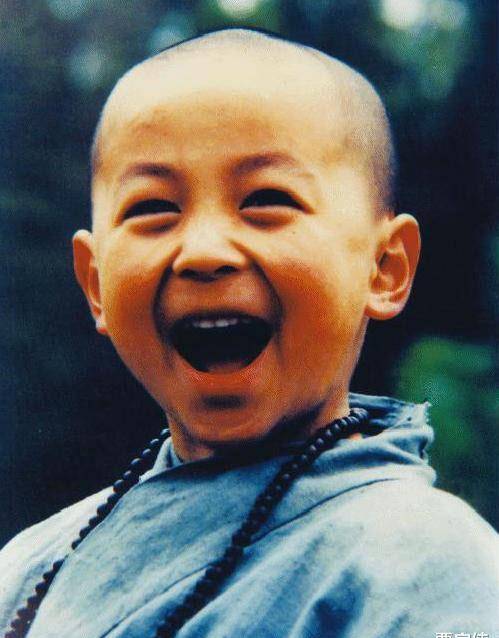 元奎|“红极一时到落寞”的10位真功夫明星，每个都很可惜，有人已老去