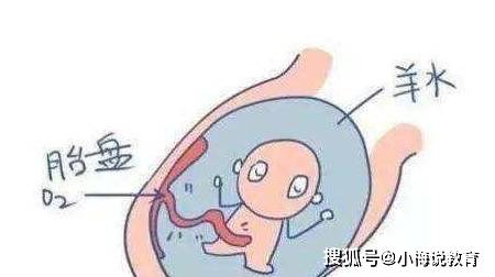 31ce515128fa4a499a4d656425cbe3b2.jpeg