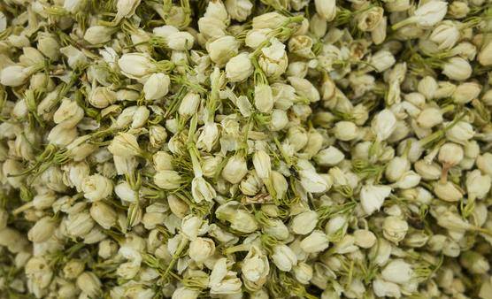 茉莉花能改善生活中的身体不适关于茉莉花的药用功效