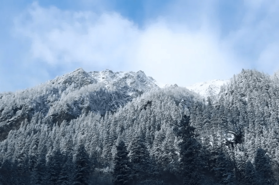 瑞雪兆豐年達古冰川新春雪如約而至