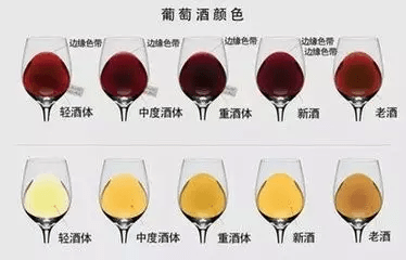 技术活|别卡速：最经典喝红酒的10个姿势，不懂就落伍了【红酒知识37】