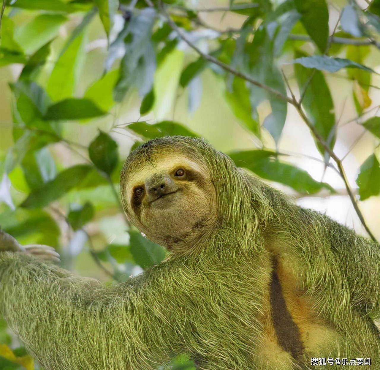 树是不是动物 1557ff4af9864b2088645da16a8f932f.jpeg