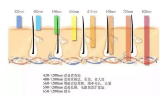 美貌想要延长美貌的保质期，来试试这个项目