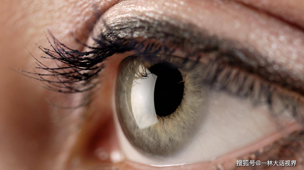 效应人在镜子里看到的自己和照相机中的自己,哪个更真实?