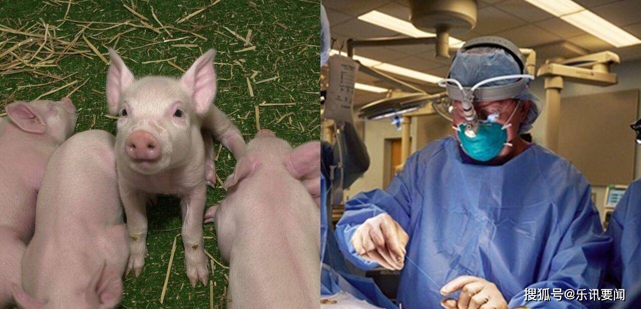 ��������װ�������ϣ�û���ųⷴӦ������ҽ������������