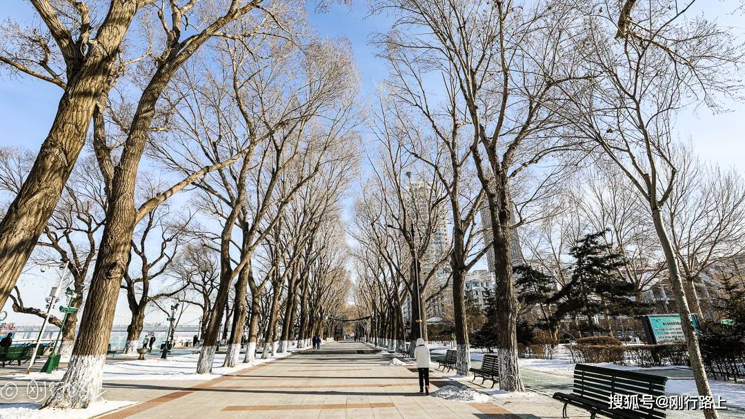 哈尔滨斯大林公园，一个可以看哈尔滨四季变化的地方