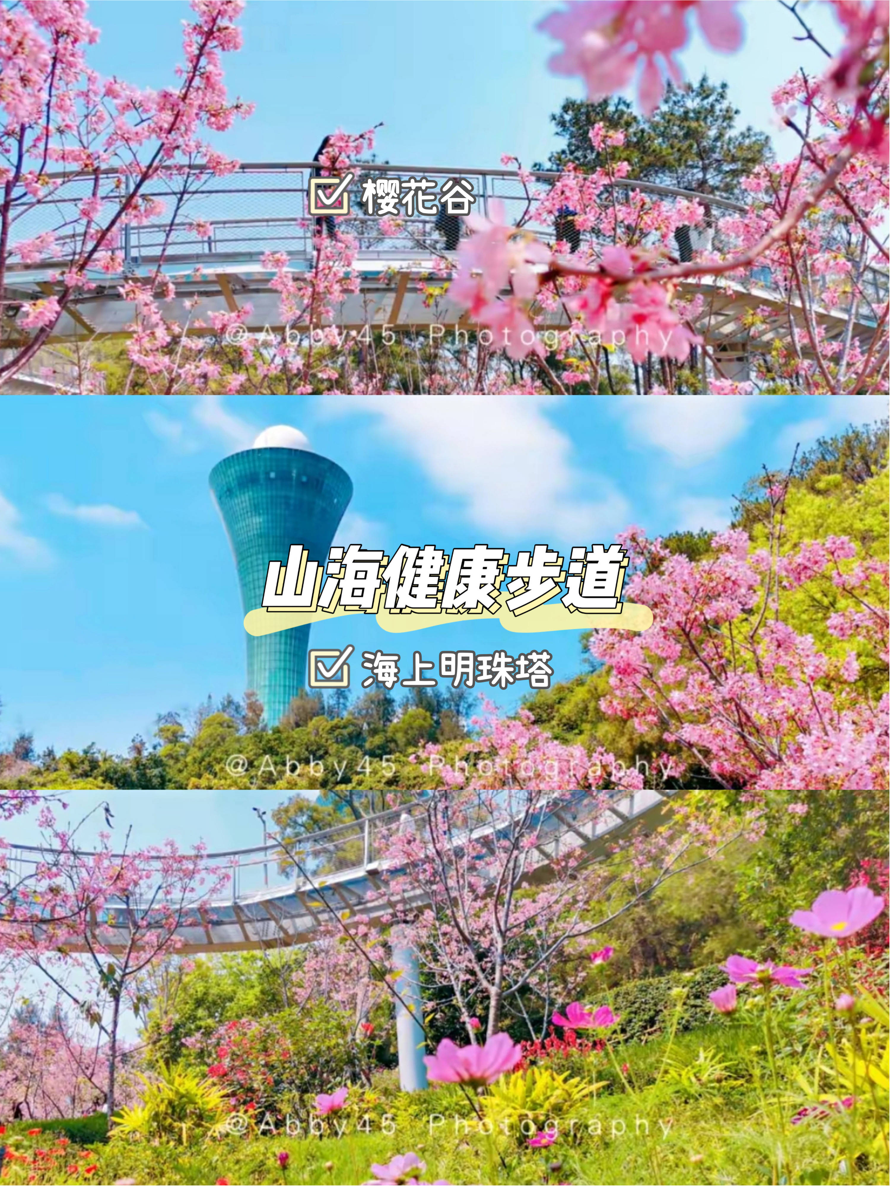 景点|春节跟着热播剧《开端》，到厦门取景地旅游，免费公交和景点攻略