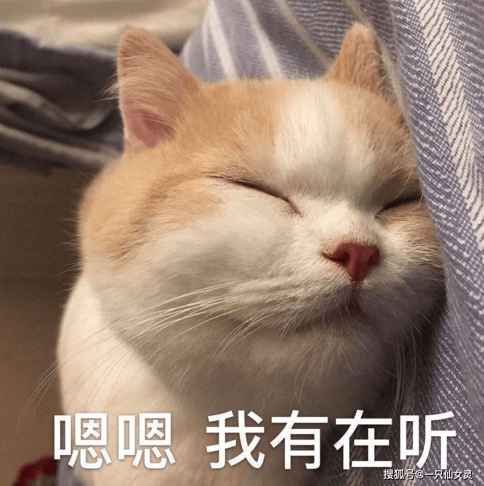 1bf902d619e045e3b0da4eaebf083d96.png
