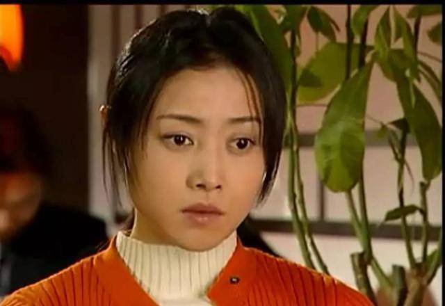 2001,年主演反腐题材电视剧《红色康乃馨》,夺得中国电视金鹰奖观众