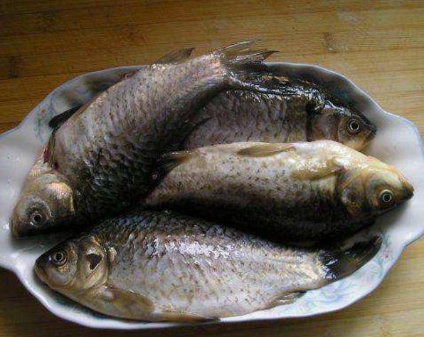 炖豆腐汤放什么 47bd3517402c45ffa57ab3aad9e69ad7.jpeg