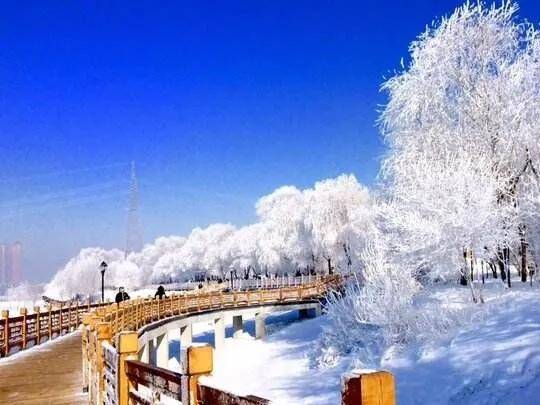 吉林省的气候是国内气候最好的省份吗？
