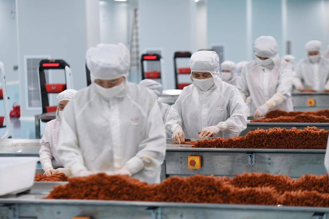 年产10亿包，超大制药级辣条车间湖南投产