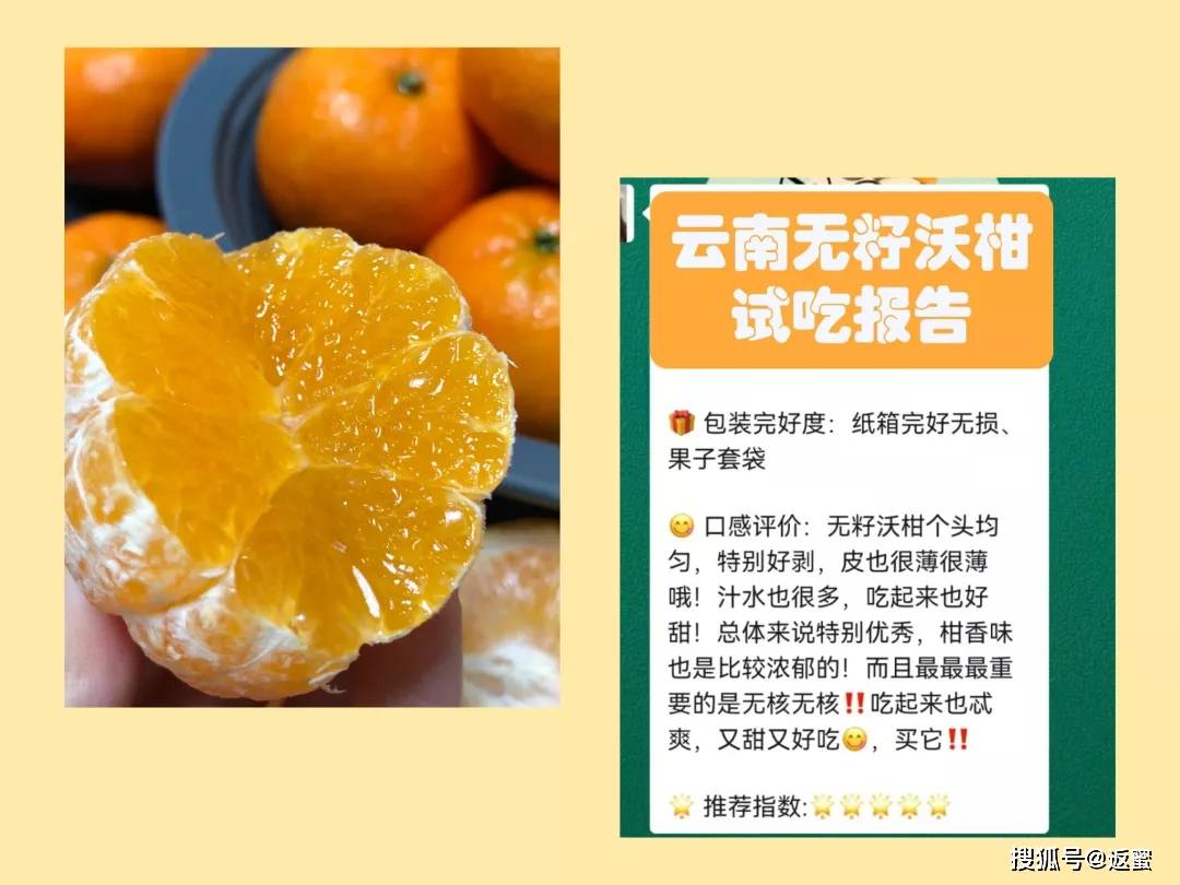 可以咬的蜂蜜 02580b76ad4c453590a47af47f0b45f4.jpeg