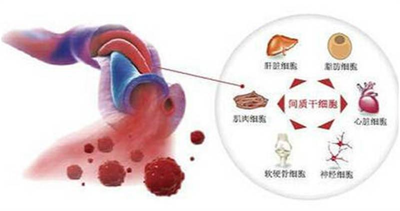 什么干细胞水光针什么好处：干细胞祛斑效果怎么样？干细胞水光针安全吗？