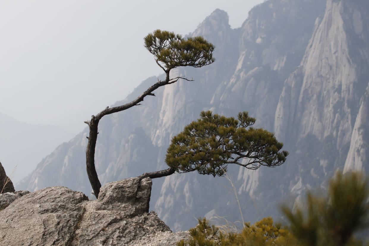 朋友|安徽最有名的一座山，一天时间都玩不够，这几个景点一定要去