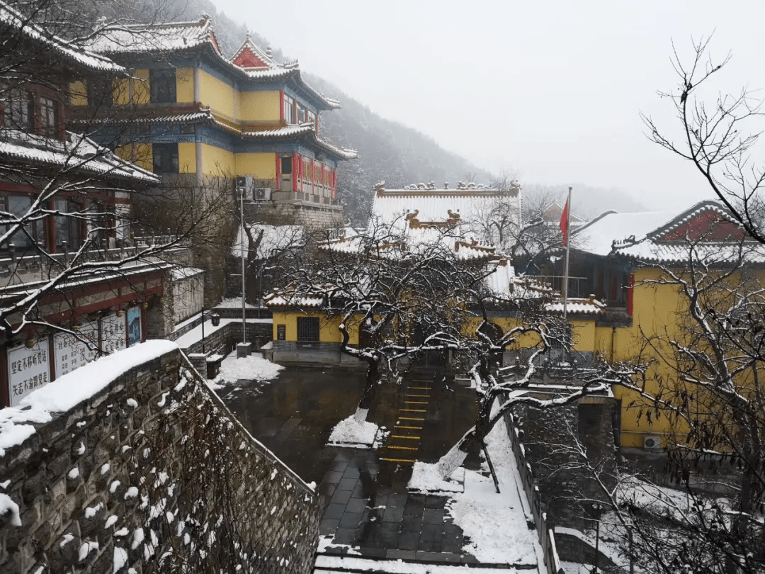 济南|赏雪景，看万点星光！这份快乐不能错过