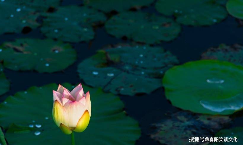 水生木的具体表现 d8477c3dfd374caab816553613097c84.jpeg