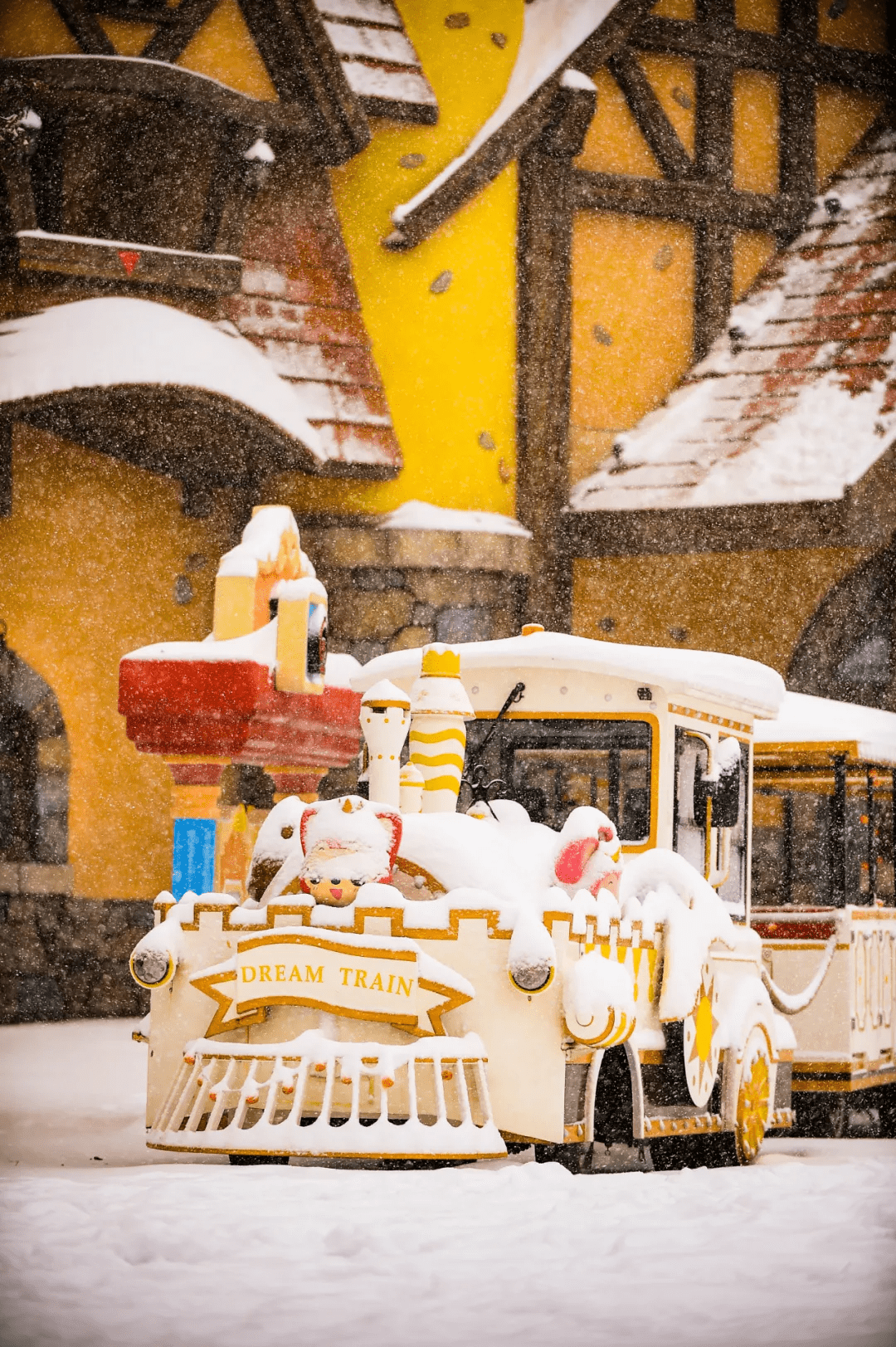 济南|赏雪景，看万点星光！这份快乐不能错过