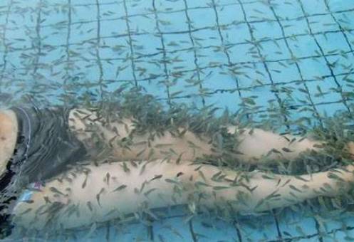 女子出国享受鱼疗 因女子的一个举动让鱼死亡 商家 最少十万 小丽 土耳其 鱼竟然