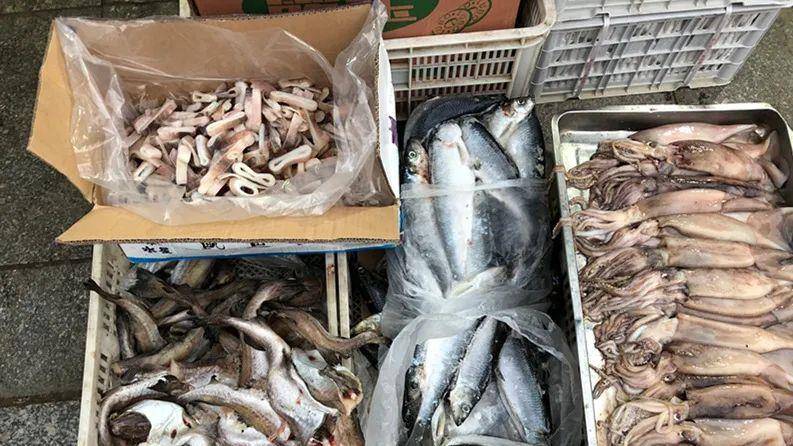 怎么晒鱼干才好吃 b3647749d0b54c9a9096a29e727848ae.jpeg