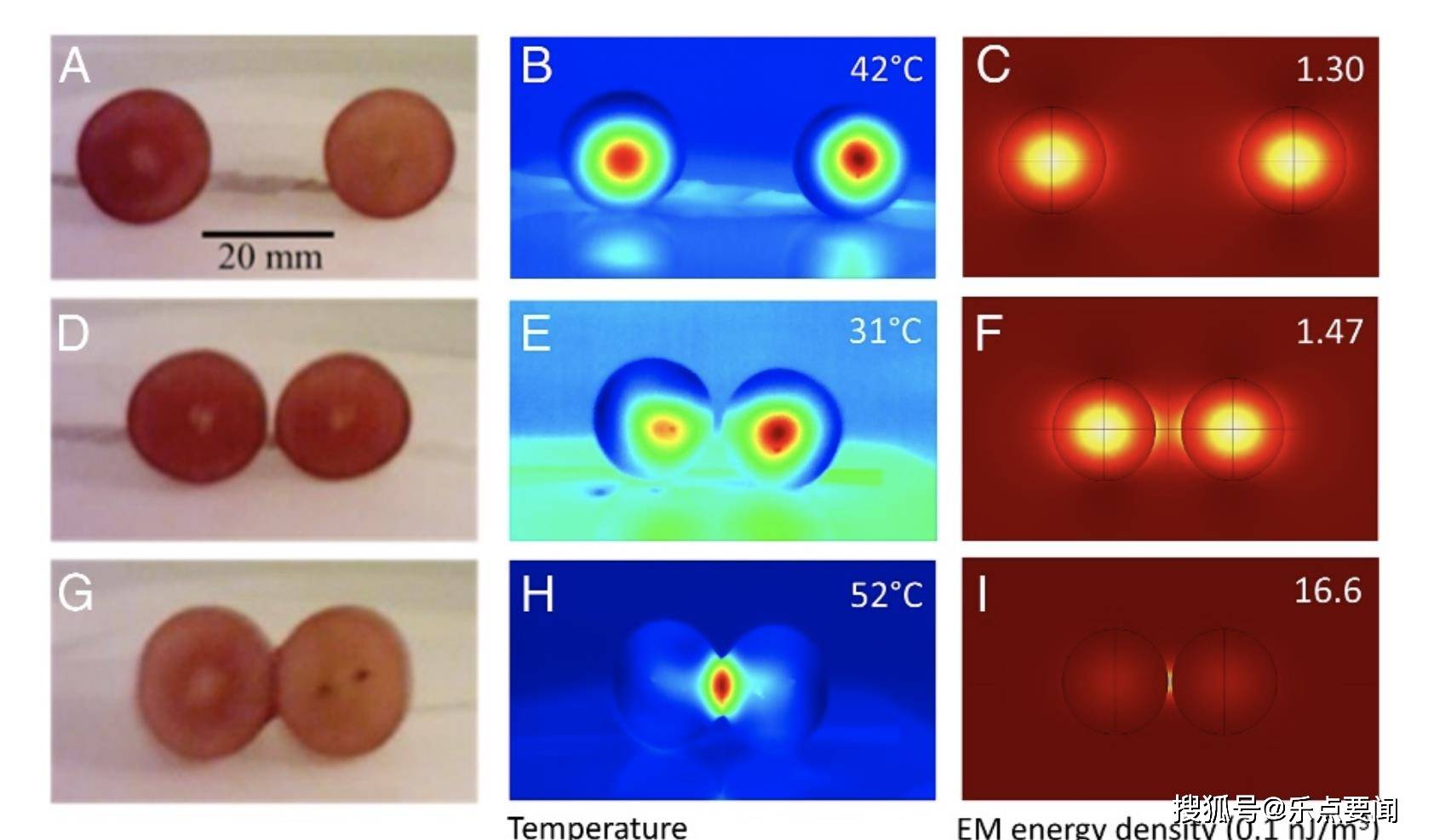能量|微波炉加热葡萄有危险？瞬间喷射高温等离子体，科学家作出解释