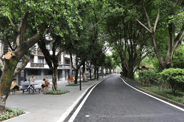 居民|沙坪坝：践行人民城市理念 让城市变得更美好