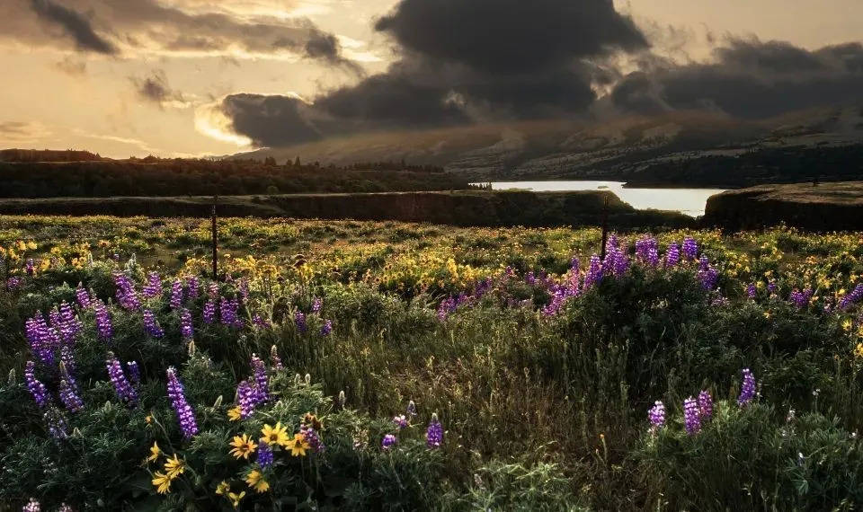 上海抽检20款投影机,索爱rigal两款质量不合格-家电圈官网