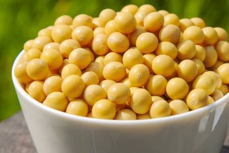 黄豆对卵巢好吗 f0d4c334fcc642a287917d16f7586e4a.jpeg