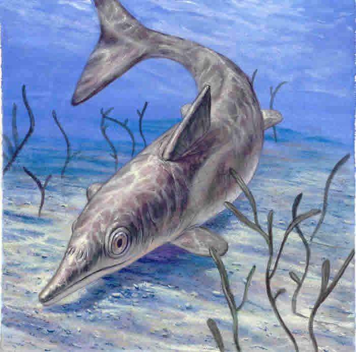 恐龙时代，海洋中出现了三种怪兽，除了鱼龙还有啥？