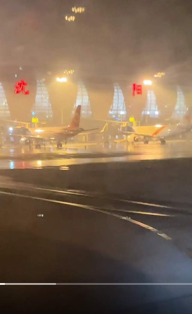 李雯雯回鞍山过年父亲开红旗接机,奶奶摆一满桌饺子当她早饭_机场