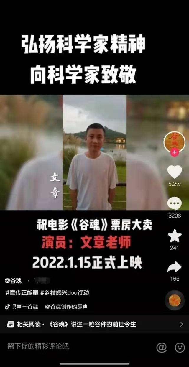 文章出轨后复出成收视女王，姚笛婚后官宣离婚，马伊琍才是狠女人封面图