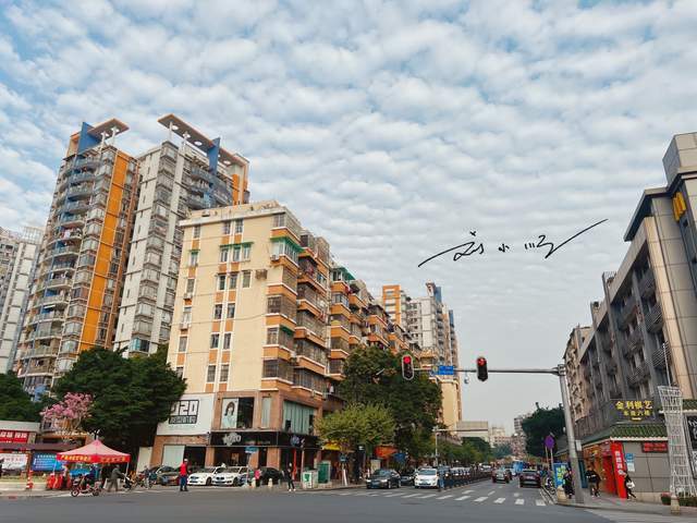 广州市中心城区之一，曾经名叫“河南”，现在房价已经堪比天河区