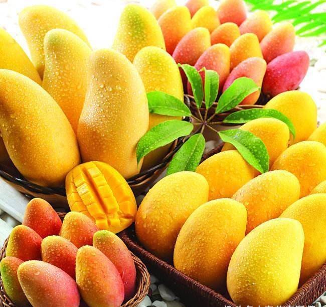 保健|养生保健的好食物,男女坚持吃,排毒通便,延缓衰老、提高免疫力