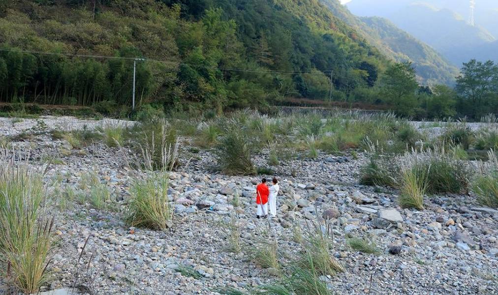 山穷水尽有人家，山庄别墅已荒废，野果酿美酒