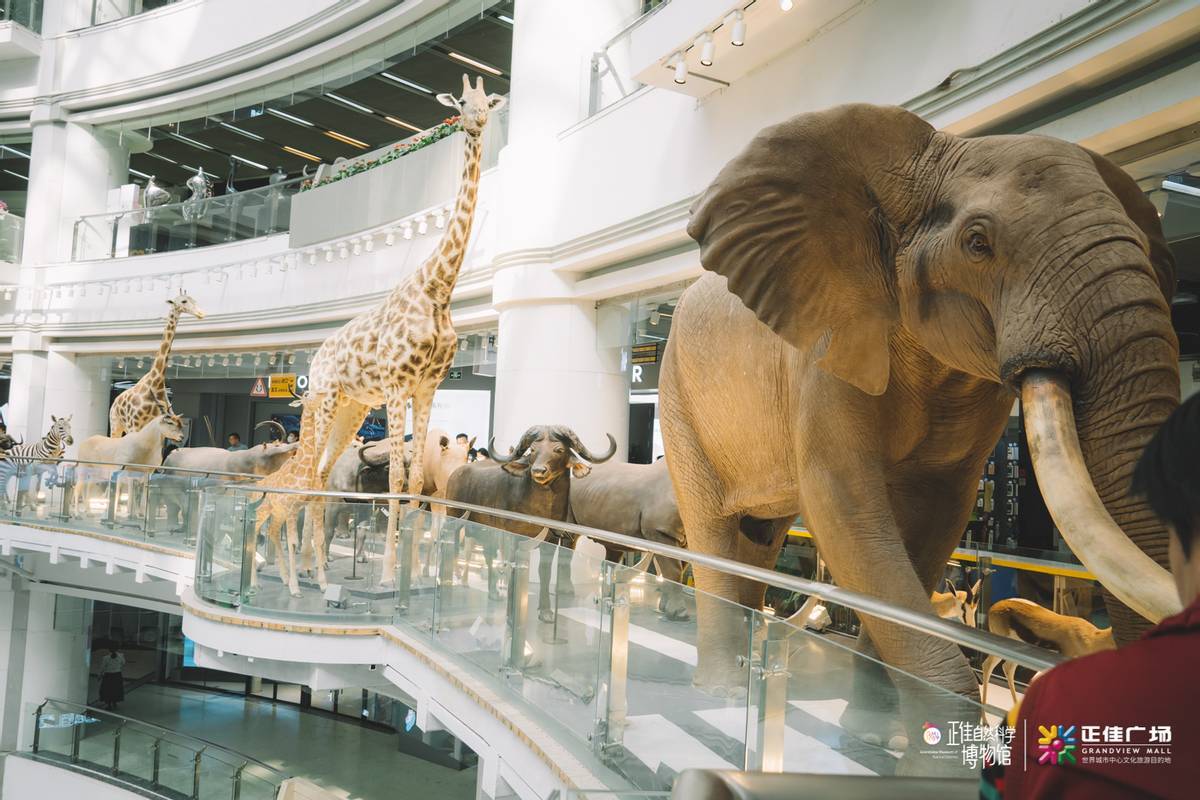 有得食,有得送,有得玩,正佳自然科学博物馆邀您回"佳"过年_恐龙_科普
