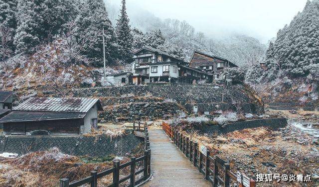 日本长野地狱谷：雪猴泡温泉