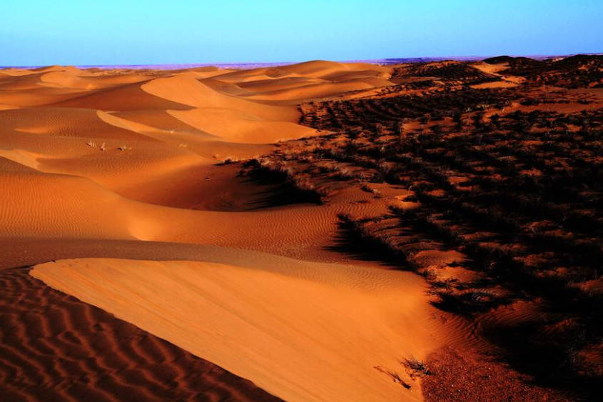 陕西一沙漠，面积比海南岛都大，如今被誉为“大漠绿洲”