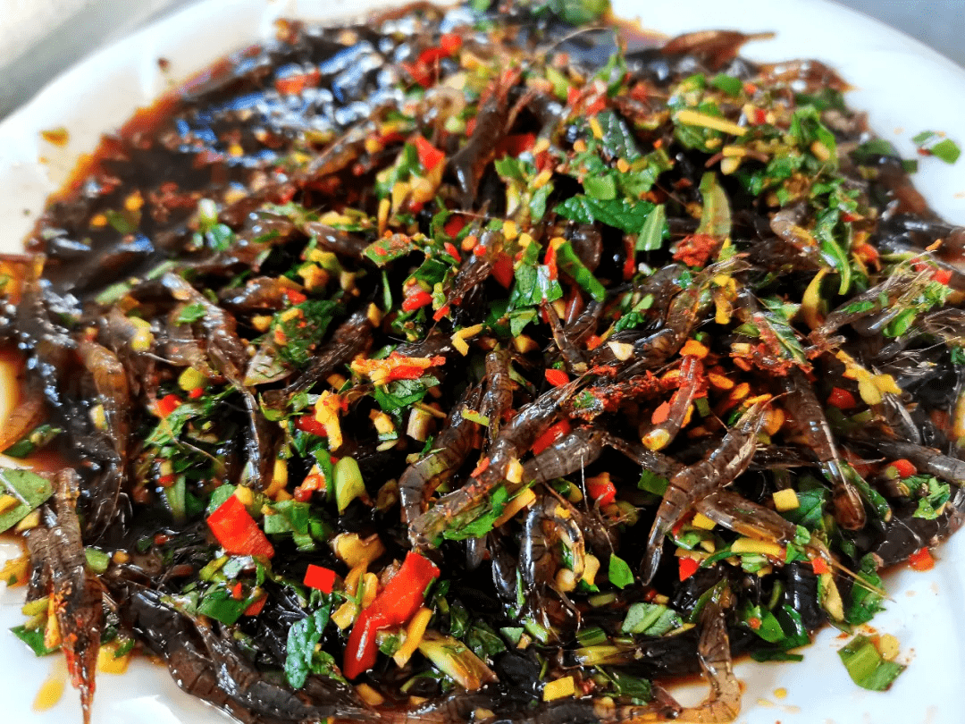 烤鱼|走湿地观鸟 逛古村落寻美食——北海乡春节的正确打开方式