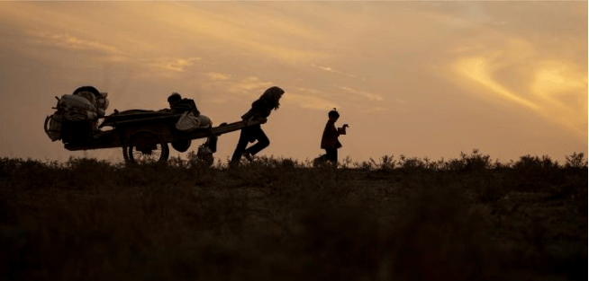 宋运萍|正午阳光八大女性角色!《开端》李诗情仅排第八,第一名心服口服