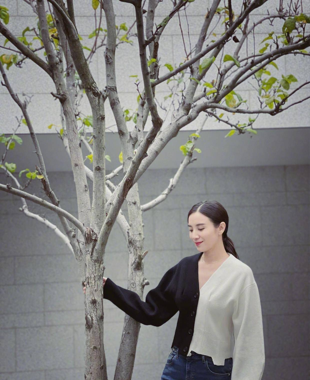 黑色 宋佳“括号臀”好迷人！针织衫搭配包臀裙高贵典雅，S型身材绝了