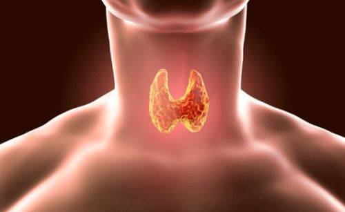甲状腺|体内有疾，喉咙“先知“，若颈部有2种表现，建议引起重视，别后知后觉
