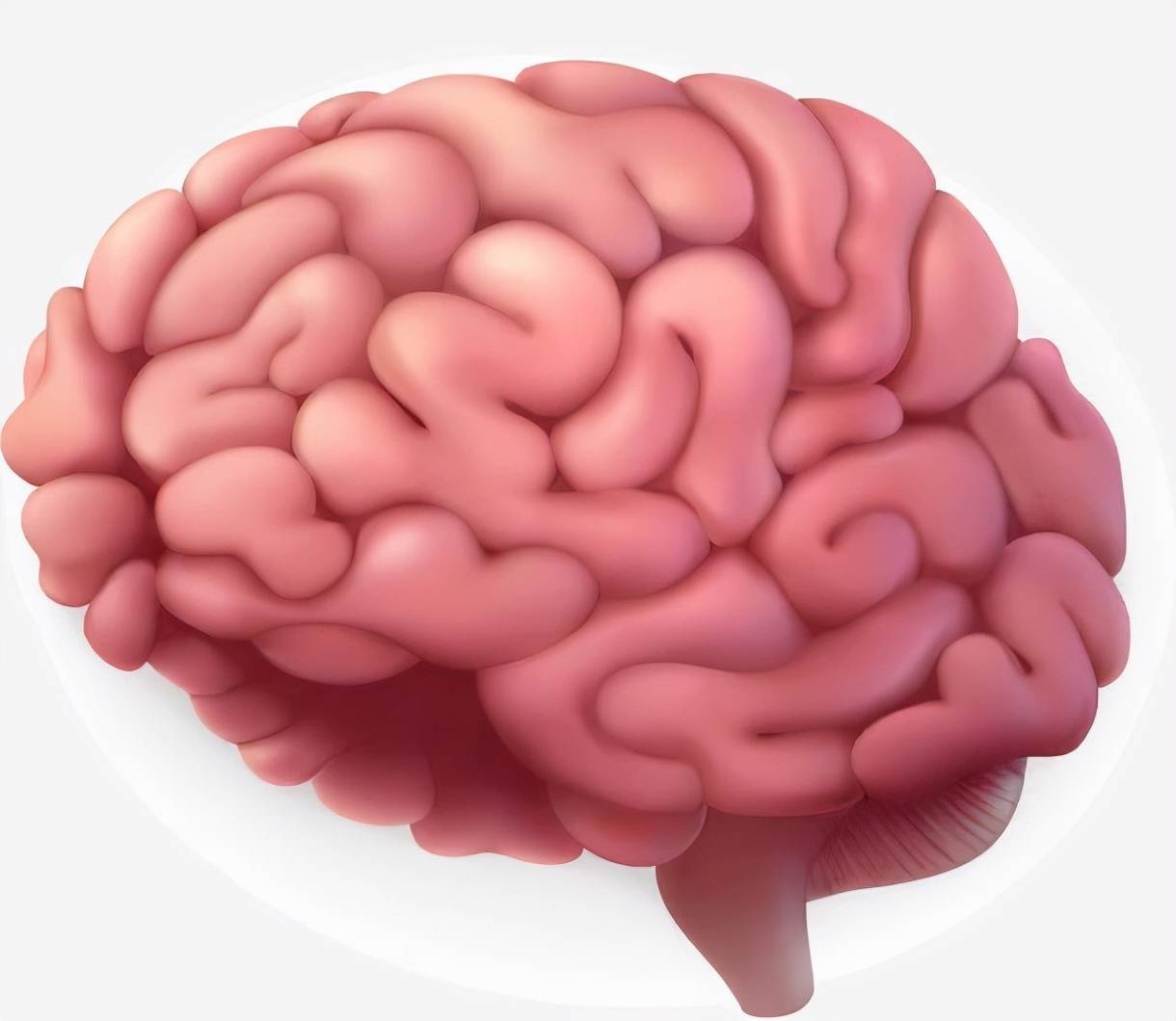 原创一颗来自2600年前的头颅内部结构稳定科学家可能还活着