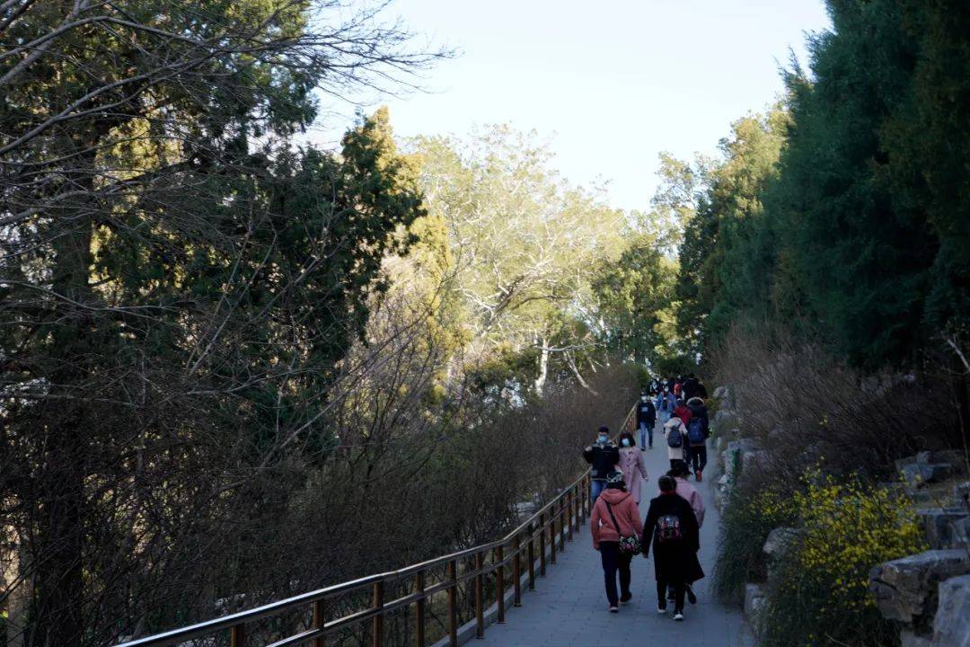 建筑|门票2元的景山 为什么值得天天来玩