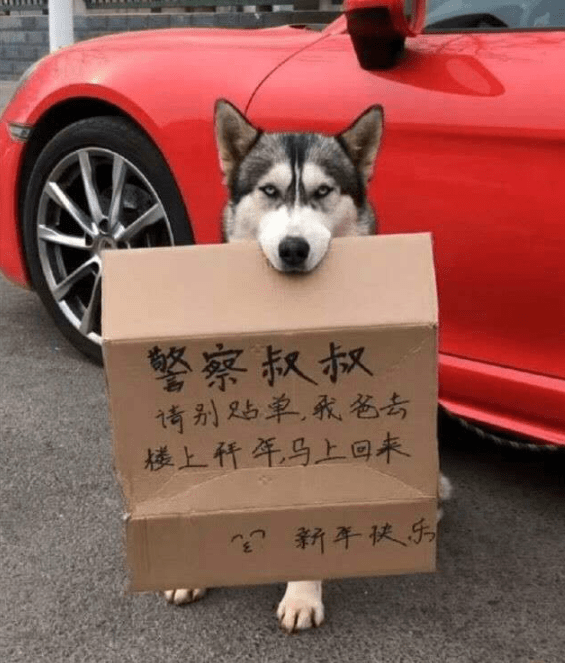 手指幽默笑话：哥们把割破的手指泡在盆里，帮我看看哪在冒泡