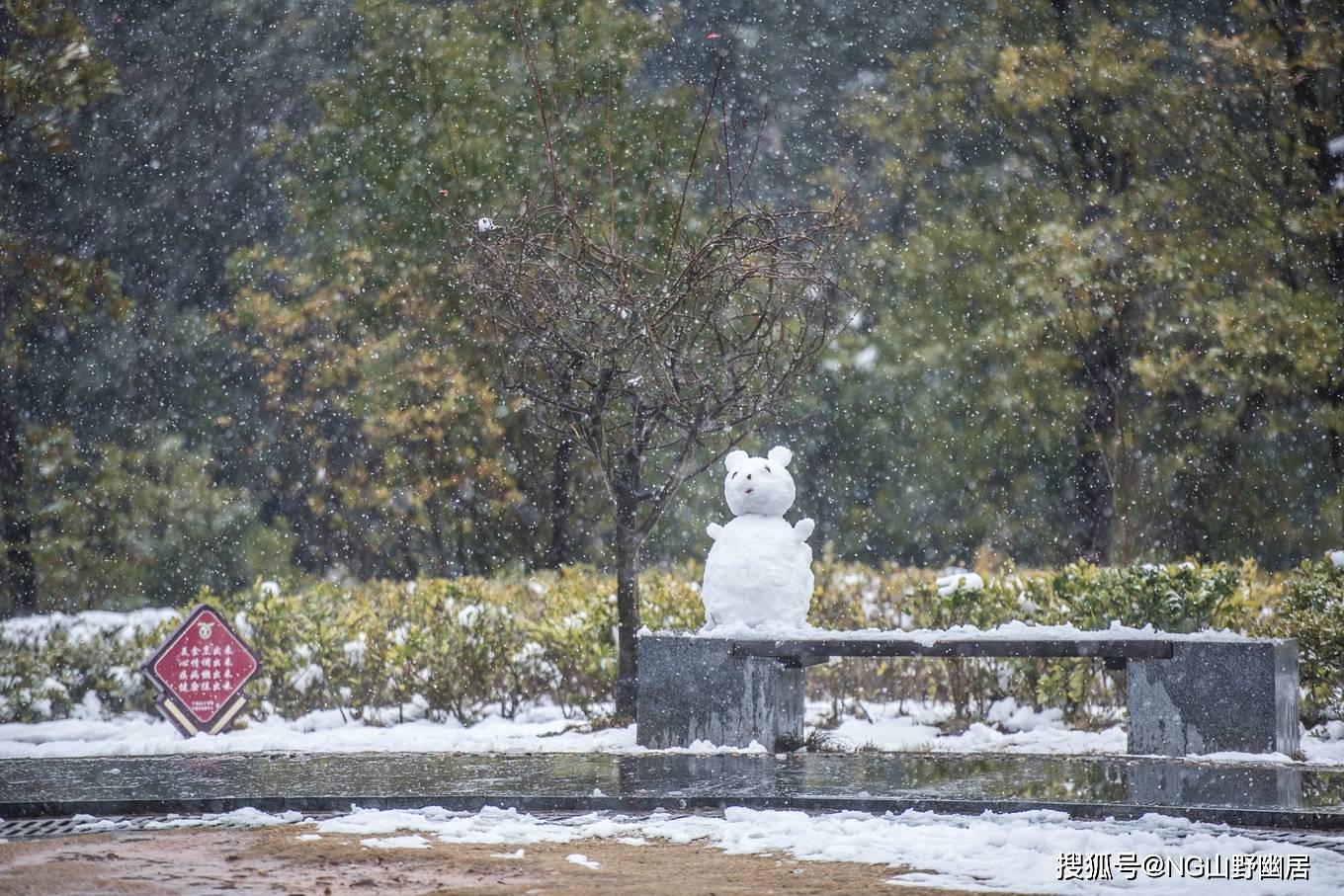 雪景|皖南宁国遇大雪：很有雪国风光的意境，美得让人大呼小叫！