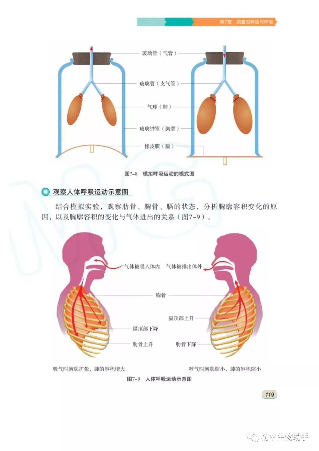 苏科版七年级上册生物电子课本教材(高清pdf版)_资源_商业行为_苏科