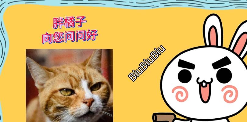 因为可爱狸花猫，大胆睡在别人车盖上，等待换来幸福，从此天天有人喂