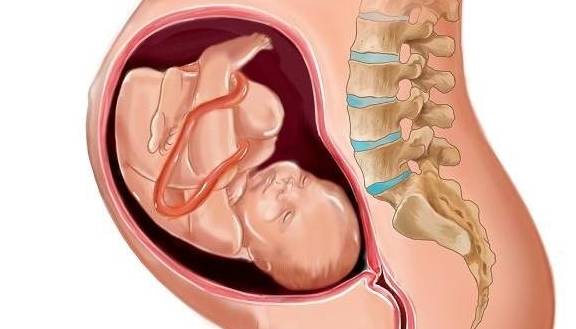 肠胃|怀孕期间，胎儿的便便都去了哪里？看完答案，有点哭笑不得！