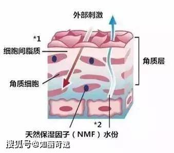 长波为什么一到冬天就变丑？换季式变丑你肯定中招了！